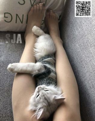 亚洲天堂男人91_国产剧高清电影在线