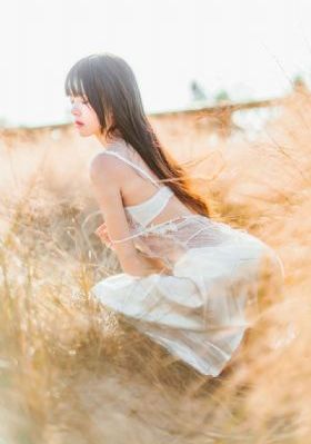 宫免费观看电视连续剧在线观看_高清手机免费观看完整